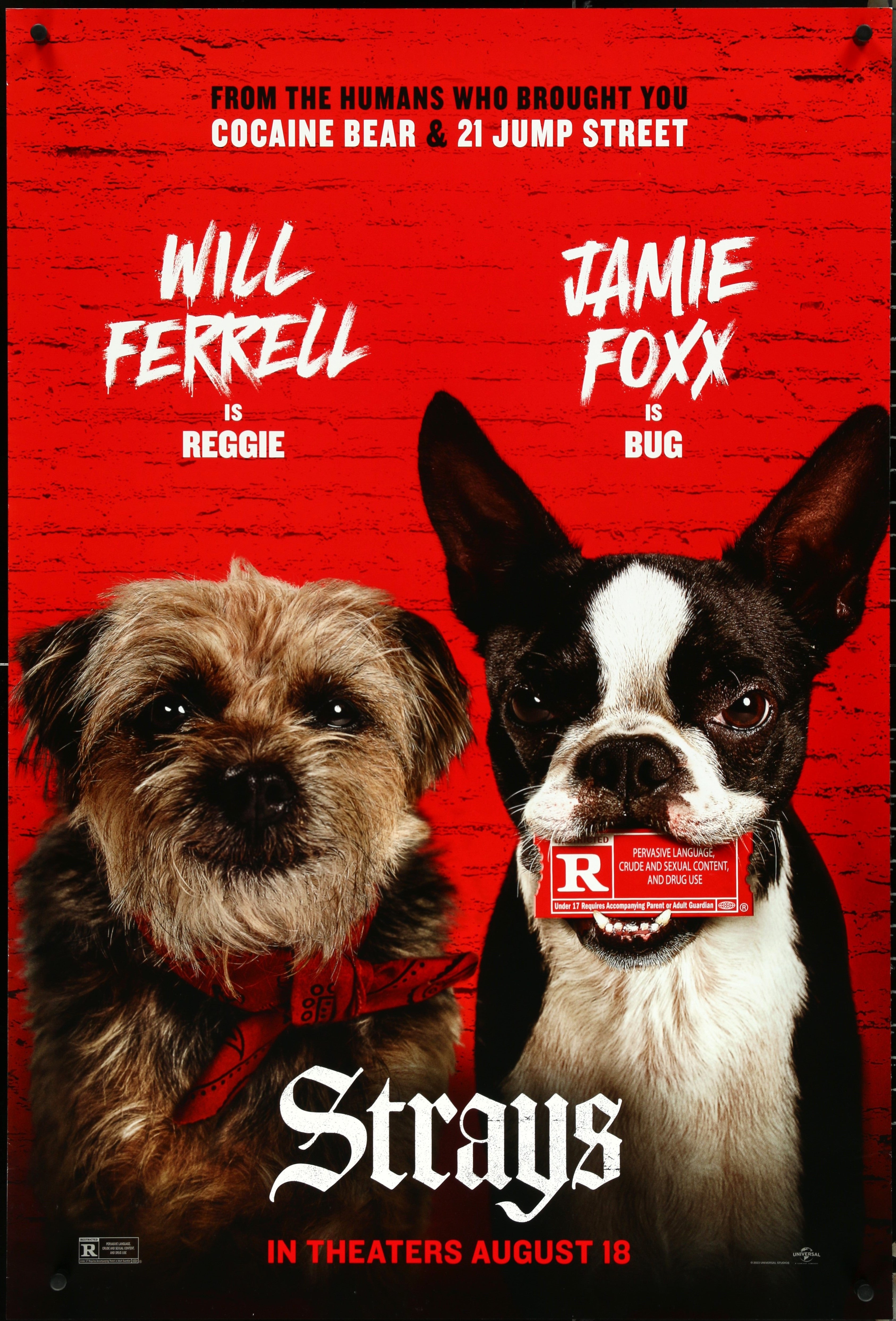 STRAYS (2023)