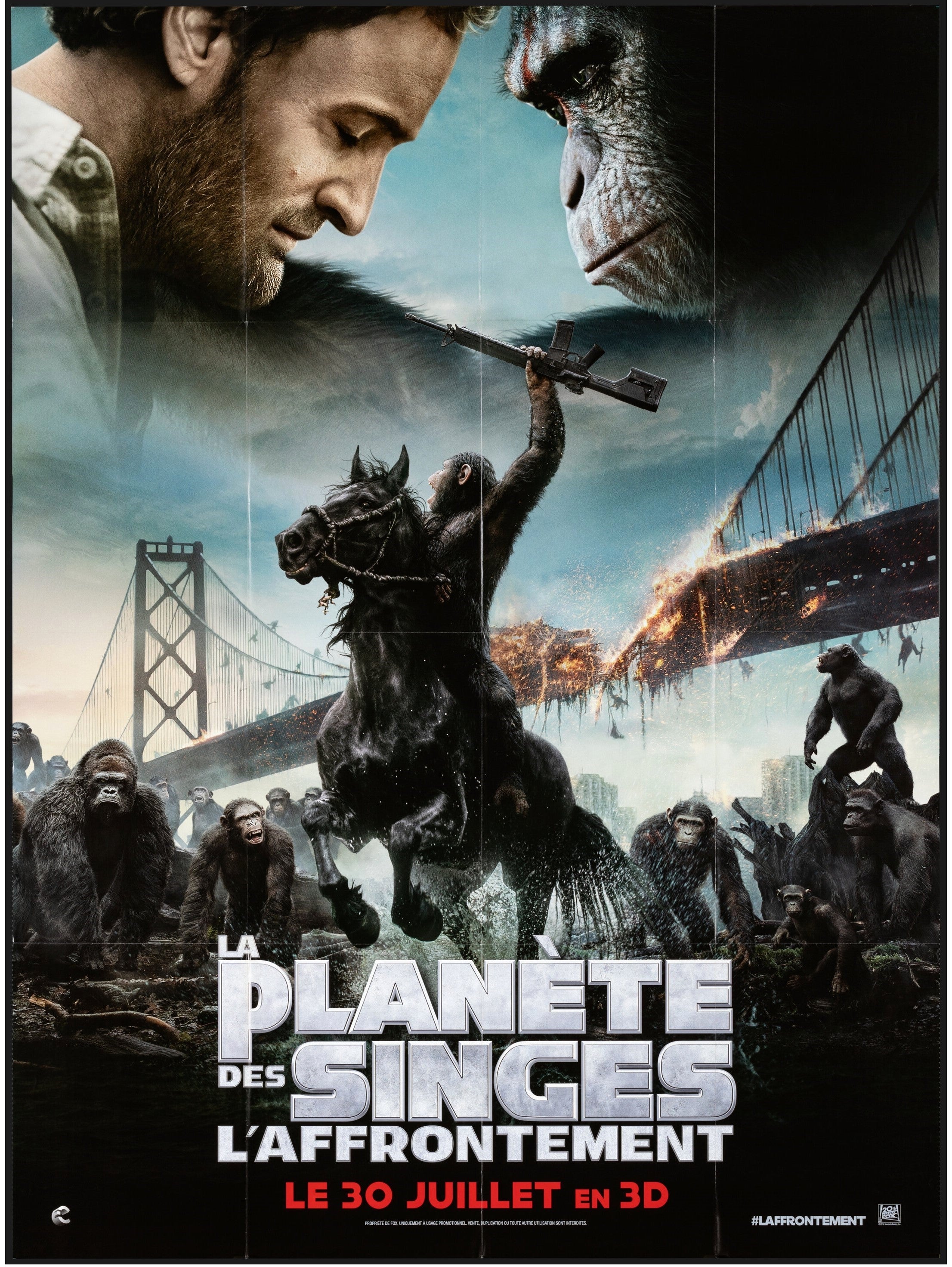 DAWN OF THE PLANET OF THE APES (2014)